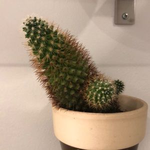 Meet your Posher, Luis felipe